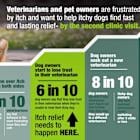 Elanco Releases New Report Highlighting the Significance of America's Itchy Dogs and the Need for Itch Relief