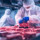 Why Beyond Meat, Inc. (BYND) Is the Best Stock to Invest in After Being Beaten Down?