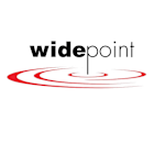 WidePoint Corp (WYY) Q1 2025 Earnings Report Preview: What To Expect