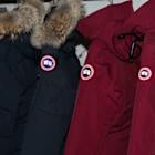 Medtronic tariff impact, Canada Goose soars: Trending Tickers