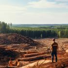 Is Mercer International (MERC) the Best Lumber Stock to Buy Right Now?