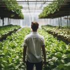 Why Are Analysts Bullish on The Scotts Miracle-Gro Company (SMG) Right Now?