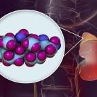 Fresenius Medical (FMS) Gets FDA Nod for New Hemodialysis System