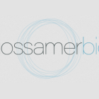 Gossamer Bio Collaborates With Italian Drugmaker Chiesi To Advance Lung Health Solutions Worldwide