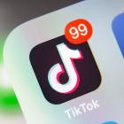 What does a TikTok ban mean for users?