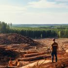 Is Mercer International Inc. (MERC) the Best Canadian Penny Stock to Invest in Now?