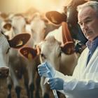 Zoetis Inc. (ZTS): Among Paul Tudor Jones’ Stock Picks with Huge Upside Potential