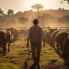 Why Elanco Animal Health Incorporated (ELAN) Skyrocketed On Wednesday