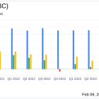 Embecta Corp (EMBC) Reports Modest Revenue Growth and Decline in Profitability in Q1 Fiscal 2024