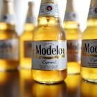 Modelo Especial soared to be the #1 beer in America. Then came Trump’s immigration crackdowns