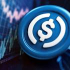 Circle Stock Is A 'Must Hold,' Says Bernstein: Here's Why
