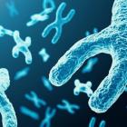 QIAGEN (QGEN) Forges Alliance to Advance Microbiome Sciences