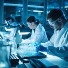 Incyte Corporation (INCY): Among Small-Cap Healthcare Stocks Hedge Funds Are Buying