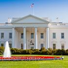Tariffs Loom as Significant Factor in Social Platform Earnings Reports