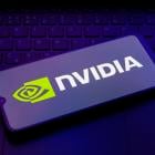 Retail investors flocked to Nvidia in 2024