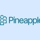 Pineapple Financial Inc. Announces 59.04 Percent Revenue Growth in Fiscal 2024 Second Quarter Ended February 29, 2024