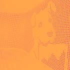 DDOG Q1 Earnings Call: Growth in Large Deals, AI Adoption, and Platform Expansion Drive Outlook
