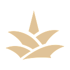 PAR Technology Corp (PAR) Q1 2025 Earnings Call Highlights: Strong Revenue Growth and Strategic ...