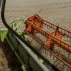 Bioceres’ GMO Wheat Is Safe for Production, US Says