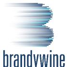 Brandywine Realty Trust Announces Closing of $400 Million Offering of 8.875% Guaranteed Notes Due 2029