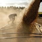 Trump’s Trade War Is Making US Farmers Anxious About Demand Risk