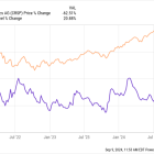 1 Biotech Stock Down 62% to Buy and Hold