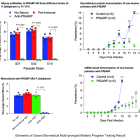 Ocean Biomedical, Inc. (NASDAQ: OCEA) Announces Patent Issued for PfGARP Malaria Antibodies Central to Company’s Malaria Treatment and Prevention Platforms