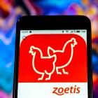 Here's What Investors Are Missing In Zoetis' Disappointing 2025 Guidance