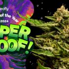 Leafly Announces Super Boof as the Leafly Strain of the Year 2024