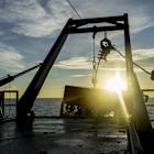 Oceaneering signs offshore vessel services agreement for Gulf of Mexico