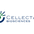 Cellectar Biosciences Stock Plunges As Cancer-Focused Cancer Firm Pursues Strategic Options