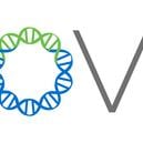 Immunology Data Shows INOVIO's INO-3107 Induced Expansion of New Clonal T Cells That Infiltrate Airway Tissue and Correspond With Reduction of Surgeries for RRP Patients Observed in Phase 1/2 Trial