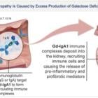 Biohaven Highlights Portfolio Progress, Innovation, and Anticipated Milestones at the 43rd Annual J.P. Morgan Healthcare Conference; Reports Positive Degrader Data with Rapid, Deep, and Selective Lowering of Galactose-Deficient IgA1 with Next Generation Potential Therapy for IgA Nephropathy