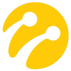 Turkcell Iletisim Hizmetleri AS (IST:TCELL) Q1 2025 Earnings Call Highlights: Strong Revenue ...