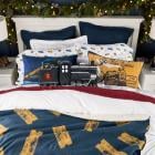 CELEBRATING THE 20th ANNIVERSARY OF THE POLAR EXPRESS, WARNER BROS. DISCOVERY GLOBAL CONSUMER PRODUCTS AND POTTERY BARN LAUNCH HOME COLLABORATION INSPIRED BY THE CLASSIC HOLIDAY FILM