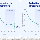 Vera Therapeutics Presents 72-week eGFR Stabilization and Rapid Hematuria Improvement in Phase 2b ORIGIN Study of Atacicept in IgAN at the 61st European Renal Association Congress