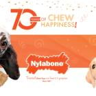 Nylabone Turns 70 and Celebrates by Promoting Dog Adoptions and Helping Homeless Dogs Find Loving Homes