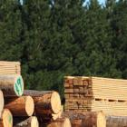 Are Investors Undervaluing West Fraser Timber Co. Ltd. (TSE:WFG) By 50%?
