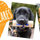 Nylabone Donates Over $1 Million in Dog Chew Toys and Chew Treats to Animal Welfare Groups in 2024