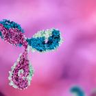Merus Will Have a Best-in-Class Treatment for Head and Neck Cancer, Analysts Say