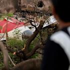 What to Know About the Black Boxes Recovered From Boeing Air India Crash