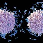 Vor, with new CEO, changes course to target autoimmune disease