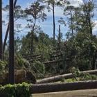 Georgia Power releases key estimated damage statistics from Hurricane Helene as restoration progress continues