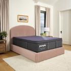 PURPLE TRANSFORMS LUXURY SLEEP WITH NEW REJUVENATE COLLECTION FEATURING GRID TECHNOLOGY - THE MOST COMFORTABLE MATTRESS OF ALL TIME