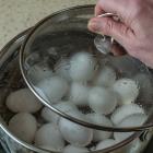 Cal-Maine Vs Vital Farms: Which Egg Stock Should Be in Your Basket?