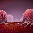 Compugen receives FDA approval for Phase I trial of solid tumour treatment