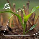 Amid Strong Demand for Sustainably Sourced Products, ADM Issues Second Annual Report Detailing Global Regenerative Agriculture Efforts and Progress