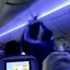 Delta flight delayed because 2 pigeons sneaked aboard a plane in Minneapolis