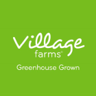 Village Farms International Inc (VFF) Q3 2024 Earnings Call Highlights: Strong Growth in Fresh ...