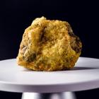 UUUU Vs CCJ: Which Uranium Stock is a Better Bet Amid a Market Slump?